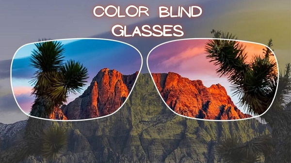 color blind glasses